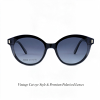 Lunettes de soleil à clipser œil de chat en acétate, monture optique, charnière à ressort, papillon, magnétiques, polarisées, unisexe, solides, tendance, à monture complète