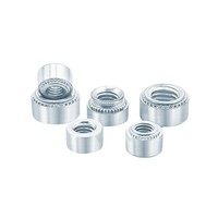 Vente en gros M5 M6 304 Vis de fixation galvanisée en acier inoxydable Écrous à sertir Attaches à riveter sous pression pour l'exploitation minière