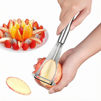 Syh2057 RVS Driehoekig Fruit Snijmes Appelversieringssnijder voor Decoratieve Presentatie en Eten Presenteren