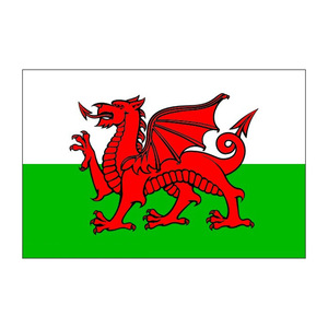 BSBH заказной размер атласный хлопок полиэстер размер Австралия флаг страны для национальных спортивных мероприятий - Product Image 3