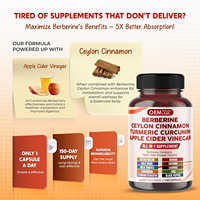 Tout en 1 Capsules de berbérine avec cannelle de Ceylan Vinaigre de pomme Curcuma Curcumine Chardon-Marie Supplément de poivre noir