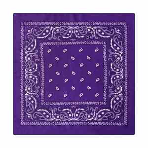 Bandanas Personalizadas con Estampado, Conjuntos a Juego para Perros y Gatos, Ideales para Paseos, Salidas al Parque y Diversión - Product Image 5