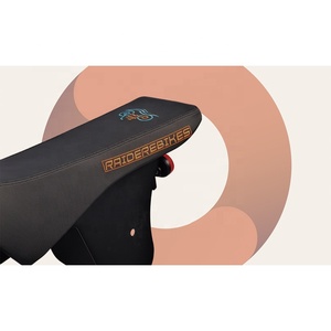 <span class=keywords><strong>Raider</strong></span>-UL088M meilleurs vélos électriques légers moto électrique pleine grandeur moto de saleté <span class=keywords><strong>750W</strong></span> 52V20AH UL2849 motos électriques de certification - Product Image 4