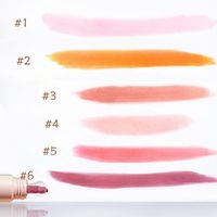 Nouvelle Arrivée 2026 – Blush Liquide Minéral Waterproof, Marque Privée, Léger, Longue Tenue, Végan, Vente en Gros, Maquillage Naturel