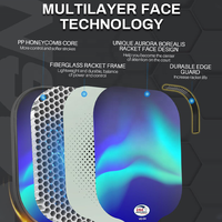 Raquette de pickleball ergonomique antidérapante avec noyau en nid d'abeille, panneau en fibre de verre résistant à l'usure, pour jeu familial
