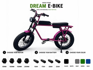 Moteur de moyeu arrière 48V 20"x4.0" avec cadre en aluminium et batterie au lithium pour cruiser, idéal pour la neige et le sable, 48V 1 - Product Image 1