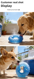 Juguete para Perros de TPR con Forma de Anillo de Hielo, Directo de Fábrica, Seguro, No Tóxico, Interactivo, Alivia la Ansiedad - Product Image 2