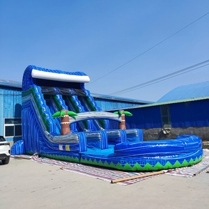 Nhà máy tùy chỉnh trẻ em nhiệm vụ nặng nề waterslides đá cẩm thạch đô<span class=keywords><strong>i</strong></span> Lane Inflatable <span class=keywords><strong>Palm</strong></span> Tree trượt nước cho ngườ<span class=keywords><strong>i</strong></span> lớn - Product Image 2