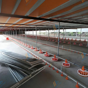 가금류 농업 자동 닭장 농업 닭 피더 및 물 술꾼 - Product Image 1