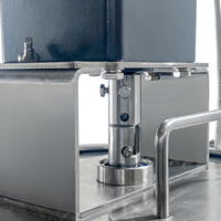 Machine de remplissage automatique à haute production en acier inoxydable 304 pour l'emballage, le brassage de miel, de shampoing, de liquides épais et pâteux, de sachets