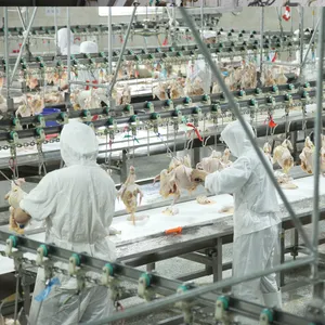 पोल्ट्री मांस प्रसंस्करण संयंत्र चीन में निर्माण