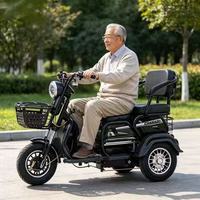 Scooter à 3 roues pour adultes, 1000W, 60V, puissant, petit tricycle électrique familial, pour personnes âgées, enfants, hommes, femmes, rouge, vert, 25 km/h