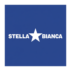 Stella bianca 20mm elettrolitica diamante nucleo punta per il modello di 067020 in muratura e calcestruzzo - Product Image 1