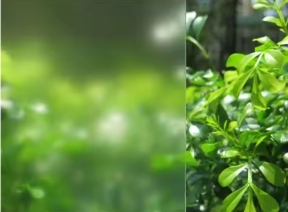 <strong>Frosted</strong> <strong>Film</strong> for Door Window of Privacy for Bathroom Office Glass <strong>Film</strong> - Product Image 3