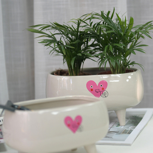 Maceta de Cerámica para Bonsái, Diseño Personalizado, Estilo Vintage, Clásica, Grande, con Relieve - Product Image 2