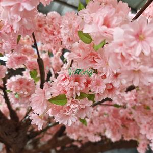 Personnalisable fait à la main 2.4m <span class=keywords><strong>Faux</strong></span> <span class=keywords><strong>cerisier</strong></span> <span class=keywords><strong>faux</strong></span> <span class=keywords><strong>cerisier</strong></span> arbre de fleurs de <span class=keywords><strong>cerisier</strong></span> pour centre commercial Restaurant <span class=keywords><strong>intérieur</strong></span> paysage Design <span class=keywords><strong>d</strong></span>'<span class=keywords><strong>intérieur</strong></span> - Product Image 5