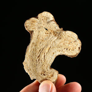 Atacado Bai zhu Erva Chinesa Rhizoma Atractylodis Macrocephalae - Product Image 3