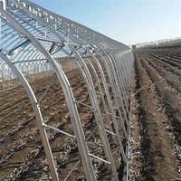 Serre tunnel familiale compacte ZHUOTAI, film PE résistant aux UV, installation facile, tubes galvanisés pour la culture de fraises et de fleurs en pépinière