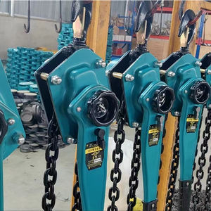 <span class=keywords><strong>Polipasto</strong></span> <span class=keywords><strong>de</strong></span> <span class=keywords><strong>cadena</strong></span> manual certificado Nueva condición Fabricado Empresa experimentada Opción <span class=keywords><strong>de</strong></span> <span class=keywords><strong>Segunda</strong></span> <span class=keywords><strong>Mano</strong></span> Eléctrica Material metálico disponible - Product Image 3