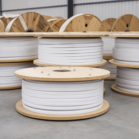Câble plat isolé en PVC à 2 conducteurs en aluminium BLVVB 300/500V pour le câblage agricole et l'éclairage
