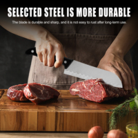 Ensemble de 5 couteaux de cuisine en acier inoxydable, directement de l'usine : Couteau de chef, Santoku, couteau utilitaire, couteau à éplucher, couteau à dépecer, idéal pour hacher, trancher et éplucher