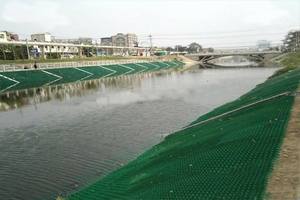 Malla de Césped de HDPE de 50*50cm, Rentable <span class=keywords><strong>para</strong></span> la Protección de Taludes y <span class=keywords><strong>Terrazas</strong></span> Agrícolas en Montaña, Protección de Suelos y Vegetación - Product Image 4