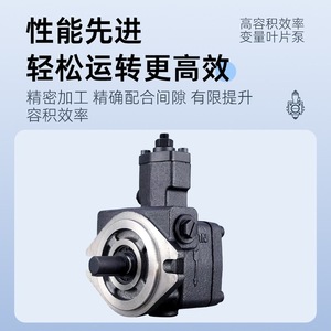 ปั๊มวาล์วแปรผัน KOMPASS รุ่น VB1-20F-A3 ปั๊มไฮดรอลิกแรงดันต่ำ ประสิทธิภาพสูง ทนทาน - Product Image 3