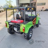 Caiteng Side 4x4 300cc 350cc 500cc 1000cc Mini Jeep Essence/Électrique 2/4 Places Homologué Route pour Adultes Buggy Automatique Garantie 2 Ans