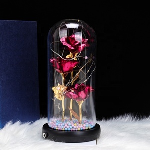 Regali artificiali di san valentino lampada a Led rosa dorata incantata lamina d'oro 24 carati rosa in cupola di vetro fiori decorativi con luci - Product Image 3