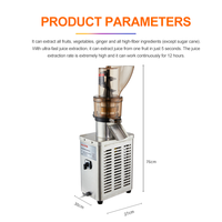 Commerciële Hot Sale Multifunctionele Sapcentrifuge, Push-Free Fruit- en Groentesapcentrifuge