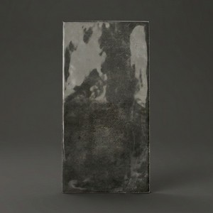 Piastrella Rettangolare Nera Camden con Finitura Opaca per Uso a Parete e Pavimento - Product Image 1