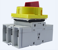 Interruptor Aislador de Panel BENLEE de Alta Calidad, 3-4 Polos, 40A/80A/125A, IP65, Función de Corte de Carga a 800V