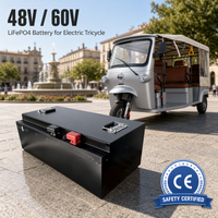 Batterie pour tricycle électrique 60V 72V 50Ah 100Ah 300Ah sans entretien avec BMS Bluetooth, fabrication chinoise OEM ODM personnalisée