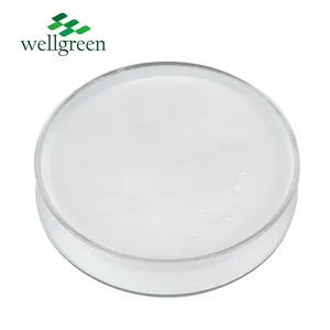 Free Sample Wellgreen High Quality NAD+ Anti-Aging Beta Nicotinamide Adenine Dinucleotide NAD Powder