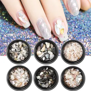 Facoty Direct Selling Nail Art Abalone Stone Crushed Shell Seashell Set For Beauty Salon Nail Decals Tools