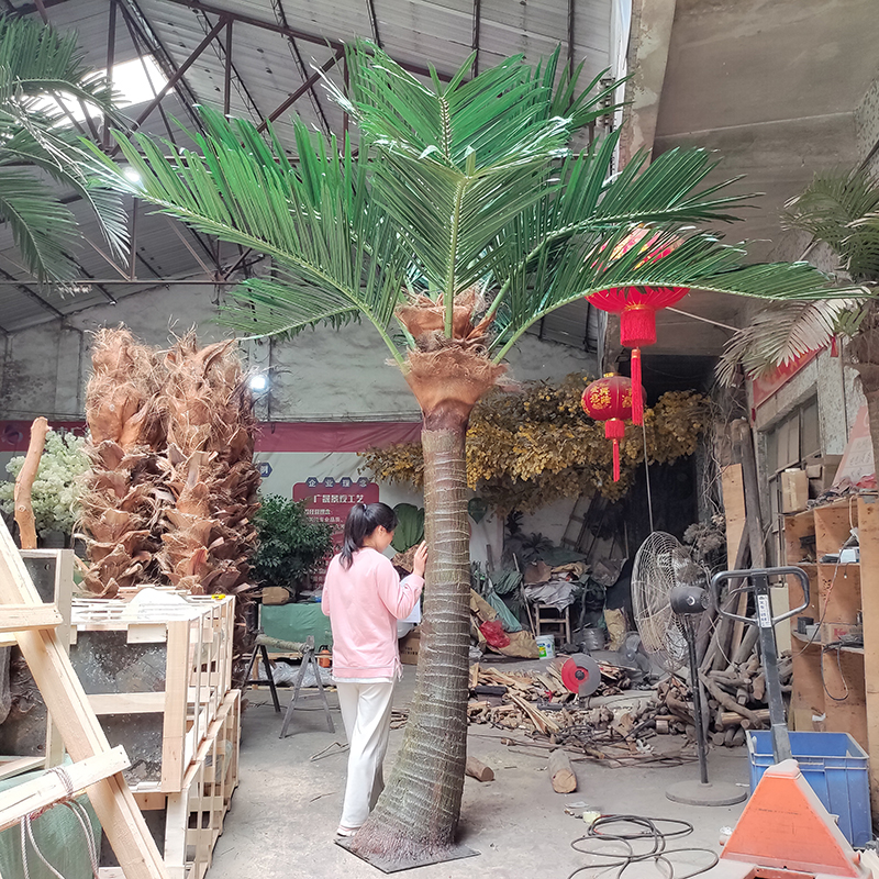 palm tree1