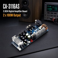 Papan Amplifier Digital TPA3116 2.0 Saluran 2x100W 8-24V untuk Sistem Audio Rumah Grosir OEM Produsen Speaker Perakit