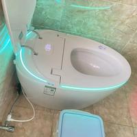 Toilette intelligente électrique à chasse d'eau automatique, cuvette de toilette intelligente avec bidet intégré pour salle de bain