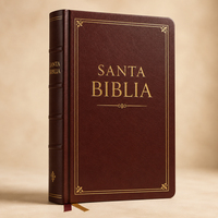 Service d'impression de Bibles espagnoles à couverture rigide, fabricant de livres bibliques personnalisés pour les éditeurs