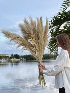 2022 vente chaude <span class=keywords><strong>pas</strong></span> <span class=keywords><strong>cher</strong></span> en gros pampa herbe fleurs séchées vraie <span class=keywords><strong>fleur</strong></span> <span class=keywords><strong>bouquet</strong></span> décoratif avec décoration de la maison multicolore - Product Image 2