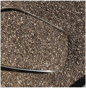 Graines de chia de qualité supérieure, marque GTSA, non-OGM, nettoyées, séchées, de taille uniforme, riches en nutriments, vente en gros - Product Image 4