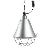 Chauffeuse pour poussins à économie d'énergie, équipement avicole, prix usine, lampe chauffante infrarouge pour usage agricole
