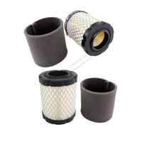 Filtre à air Remplace les numéros OEM B & S 5429K 591583 796032 591383 796032 798911