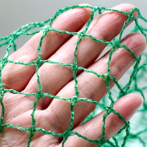 Filet anti-<span class=keywords><strong>oiseaux</strong></span> en HDPE de haute qualité pour la <span class=keywords><strong>protection</strong></span> des cultures agricoles – Filet de <span class=keywords><strong>protection</strong></span> en plastique <span class=keywords><strong>contre</strong></span> les <span class=keywords><strong>oiseaux</strong></span> - Product Image 3