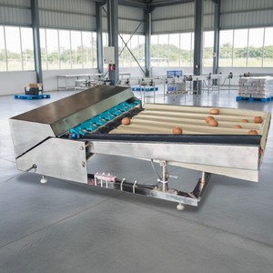 Máquina Clasificadora de Huevos Compacta, 2000 Huevos por Hora, Acero Inoxidable, Clasificación Automática con Báscula Digital de 220V - Product Image 6