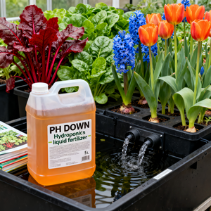 <span class=keywords><strong>Engrais</strong></span> liquide <span class=keywords><strong>hydroponique</strong></span> organique PH Down pour NFT/<span class=keywords><strong>culture</strong></span> en eau profonde/goutte à goutte, 81% d'acide phosphorique, régulateur de pH, croissance des plantes - Product Image 4