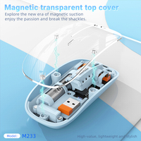 Souris optique portable rechargeable transparente Bluetooth sans fil avec interface USB, style gaming pour ordinateur de bureau, ordinateur portable et tablette
