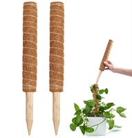 Bâtons de mousse de coco naturelle écologiques pour support de plantes grimpantes, pour jardin et usage domestique