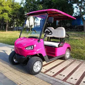 Mini carrito de golf de gas con tracción en las 4 ruedas de 2 plazas a la venta