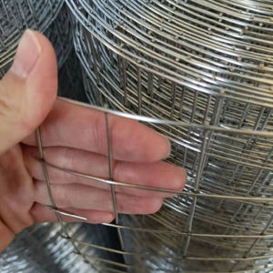 <span class=keywords><strong>Malla</strong></span> de Alambre Soldada de <span class=keywords><strong>Acero</strong></span> <span class=keywords><strong>Inoxidable</strong></span> Galvanizado, Rollo de <span class=keywords><strong>Malla</strong></span> <span class=keywords><strong>Electrosoldada</strong></span>, Panel de <span class=keywords><strong>Malla</strong></span> Soldada - Product Image 1